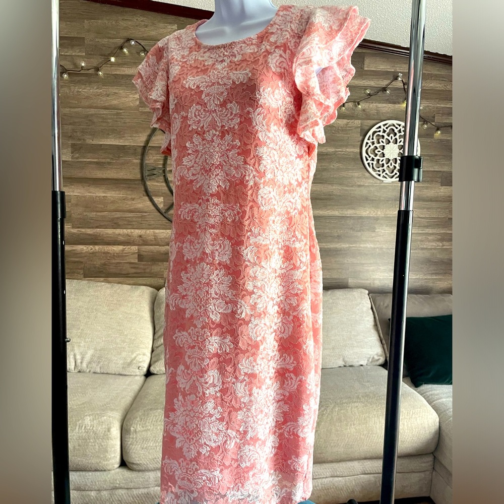 RN Studio by Ronnie Nicole Pink and White Lace Sheath Dress